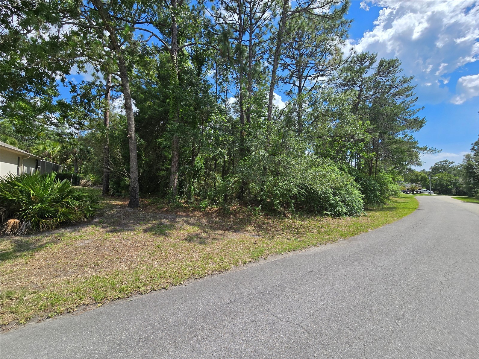 29 Saintpaulia Street Homosassa FL 34446 W7885886 image4