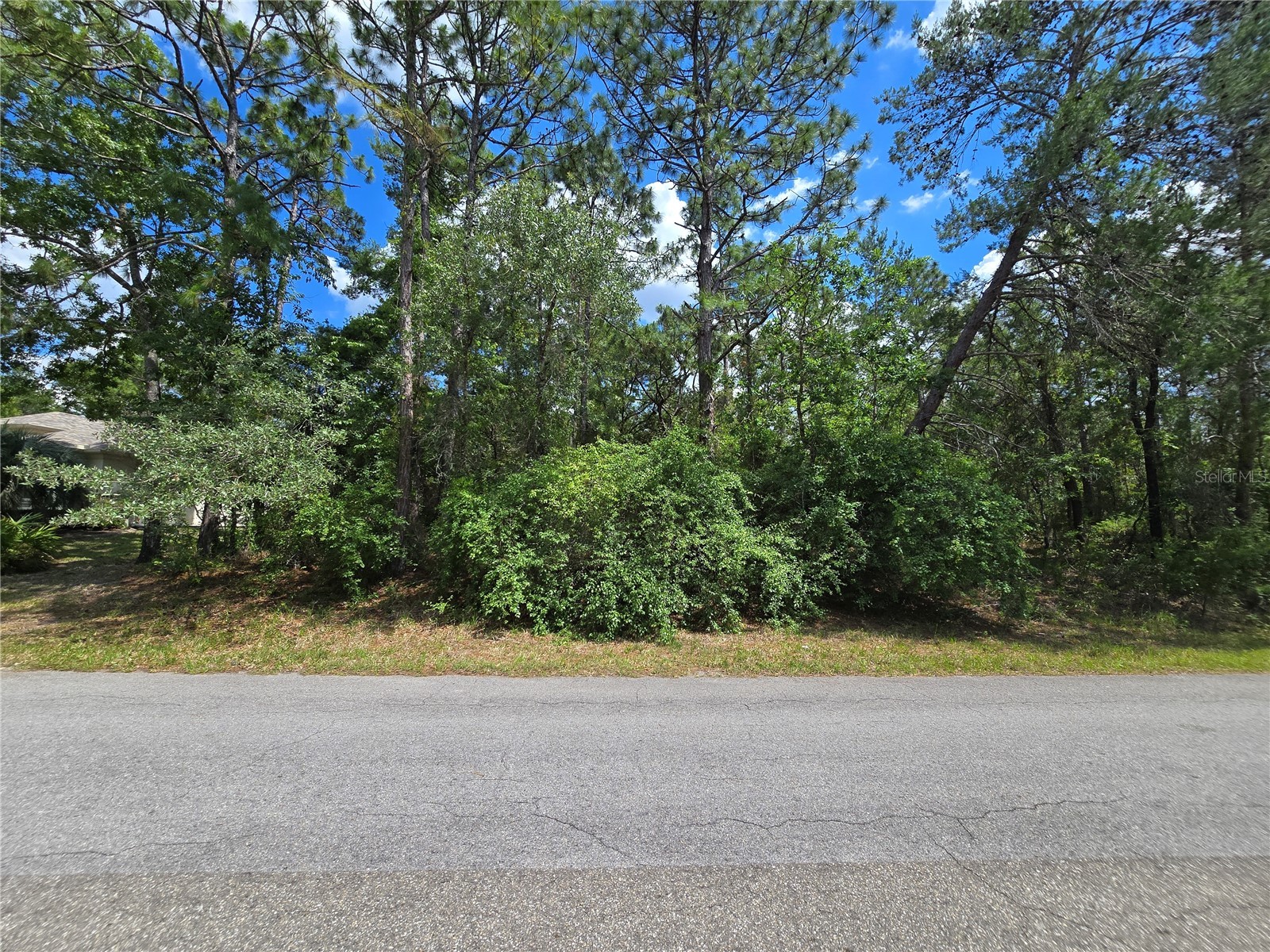 29 Saintpaulia Street Homosassa FL 34446 W7885886 image5