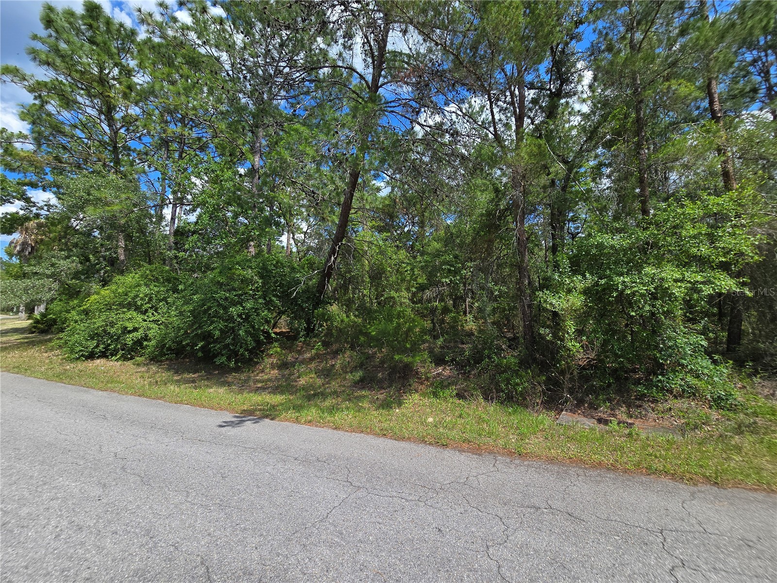 29 Saintpaulia Street Homosassa FL 34446 W7885886 image6