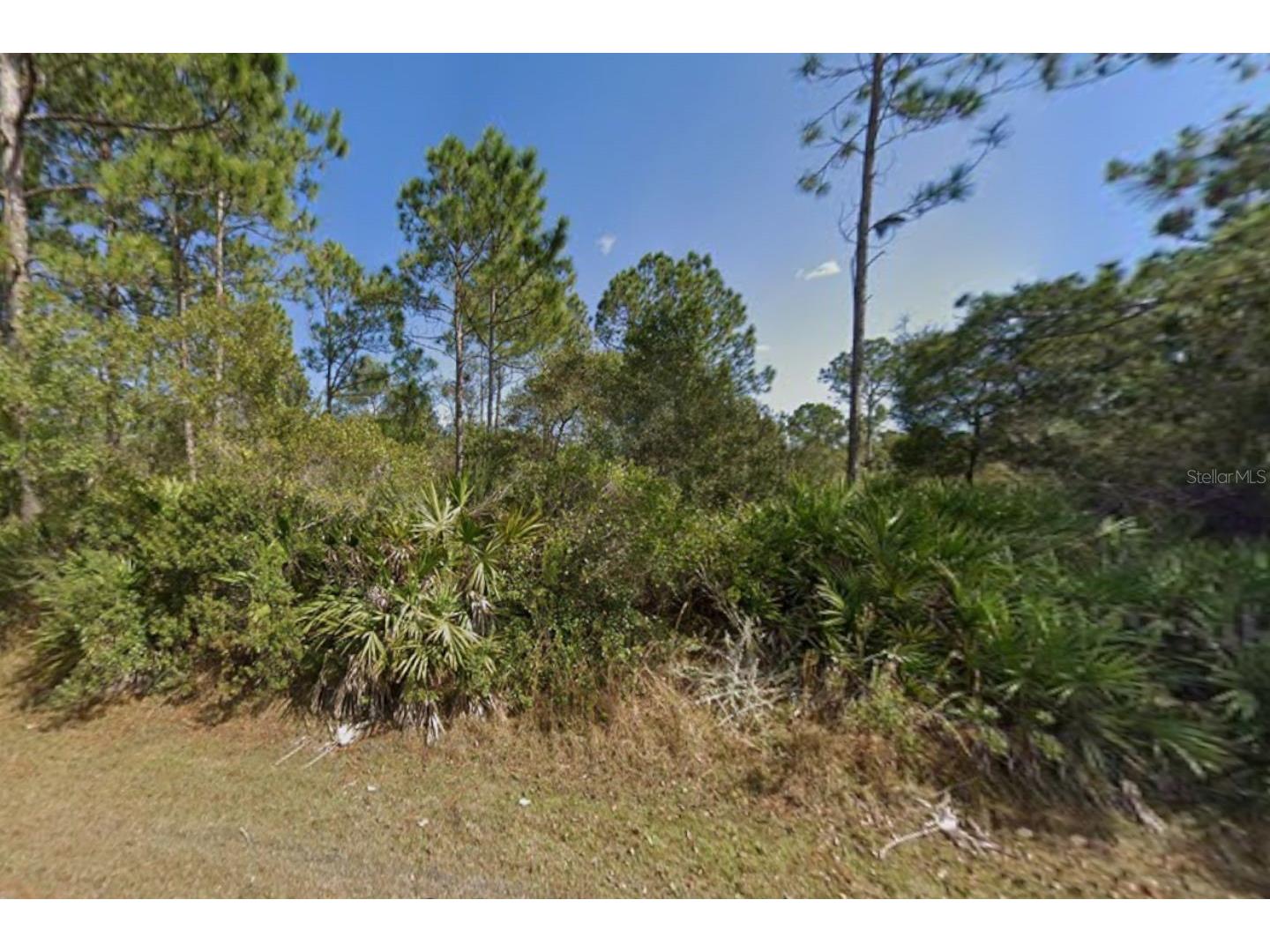 29 Ulmaceal Path Palm Coast FL 32164 TB8496482 image3