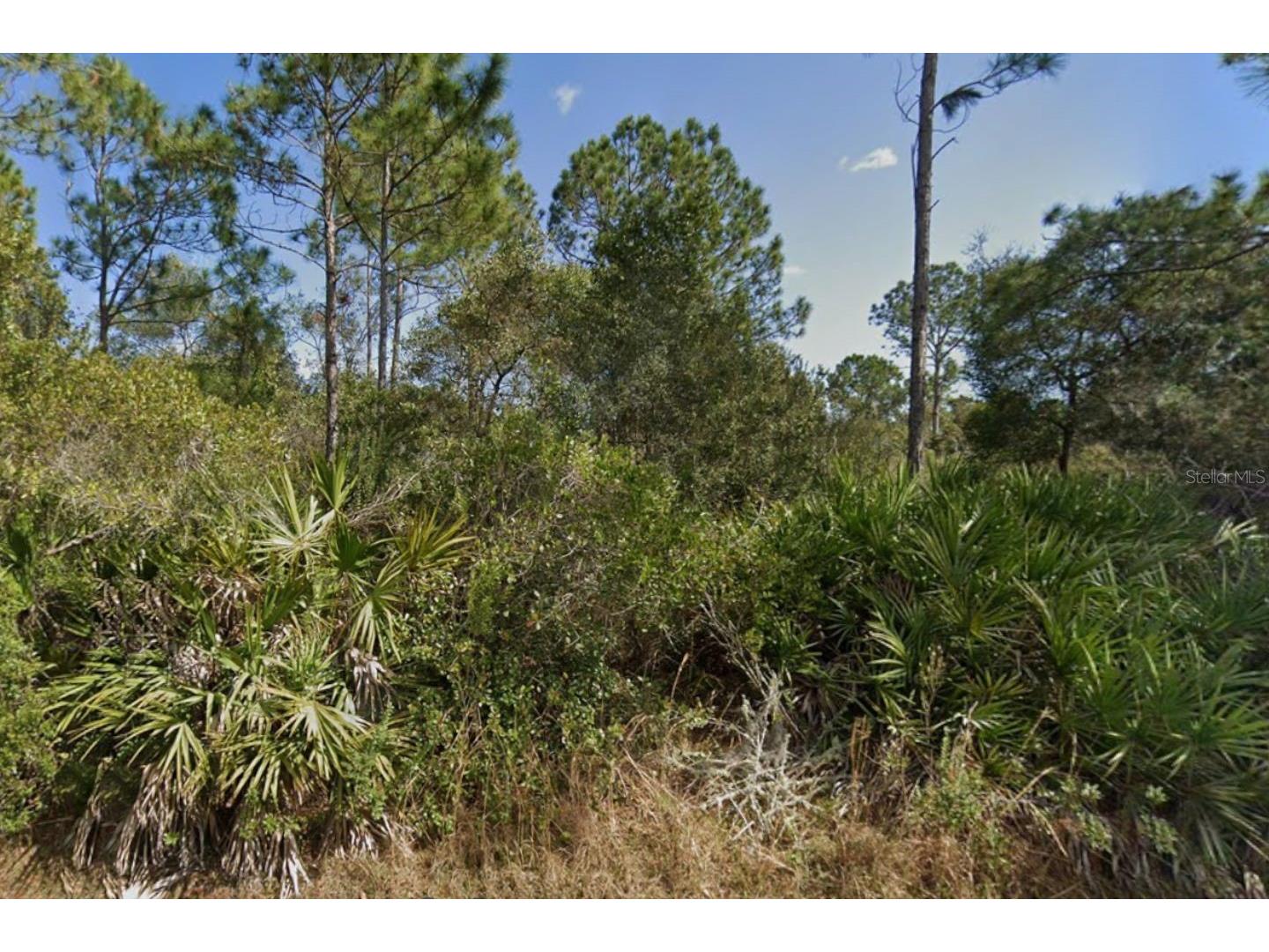 29 Ulmaceal Path Palm Coast FL 32164 TB8496482 image4