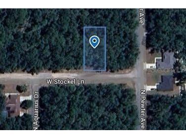 29 W Stockel Lane Citrus Springs FL 34434 O6226071 image1