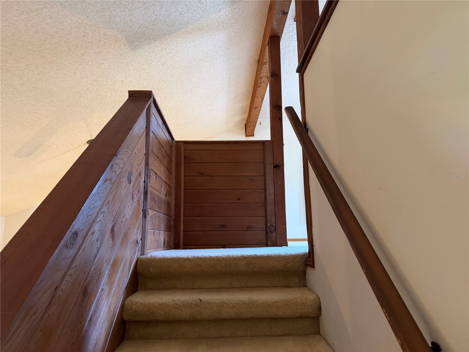 29 Webwood Place Palm Coast FL 32164 FC319088 image10