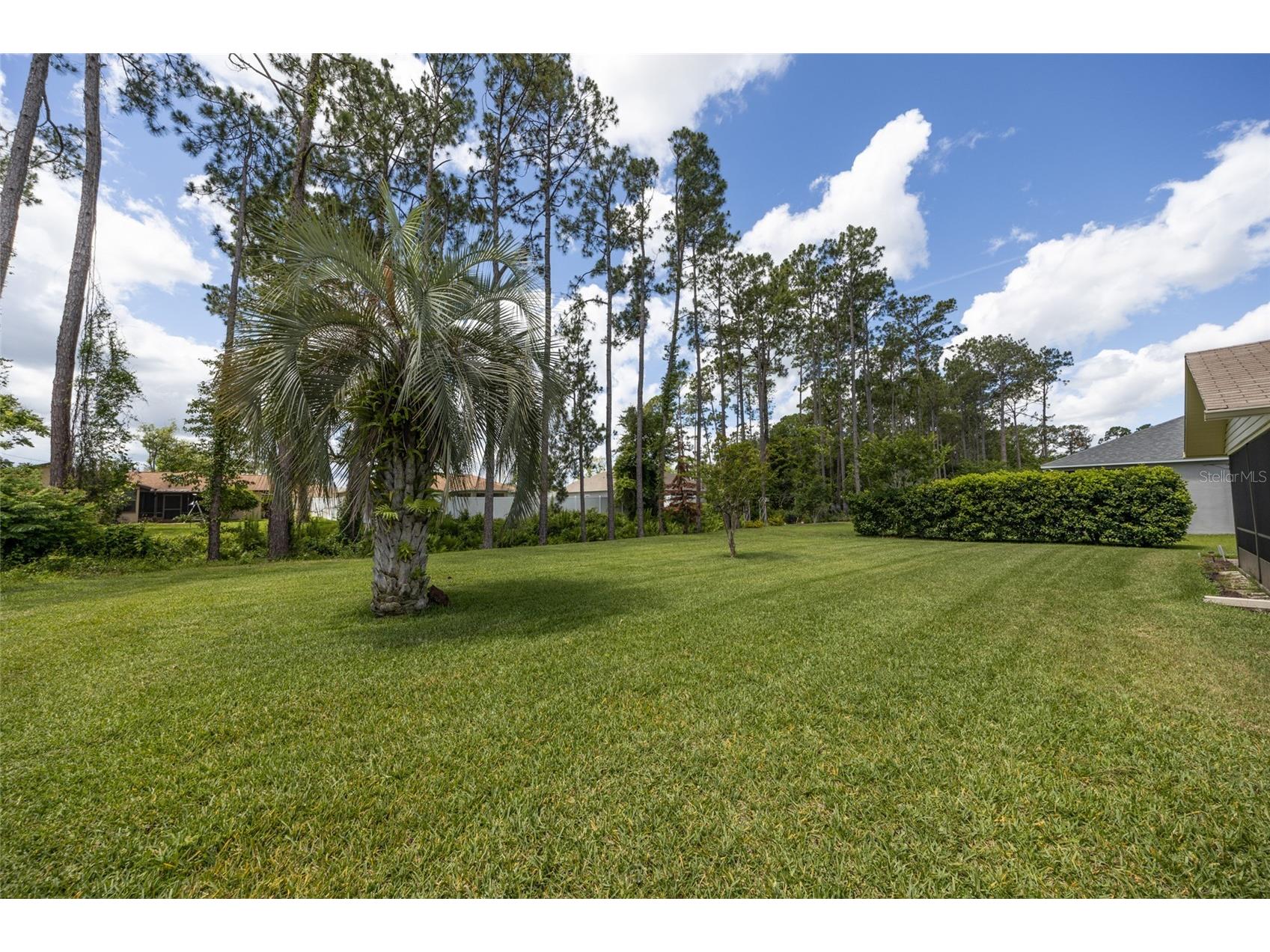 29 Wood Haven Drive Palm Coast FL 32164 FC318306 image20