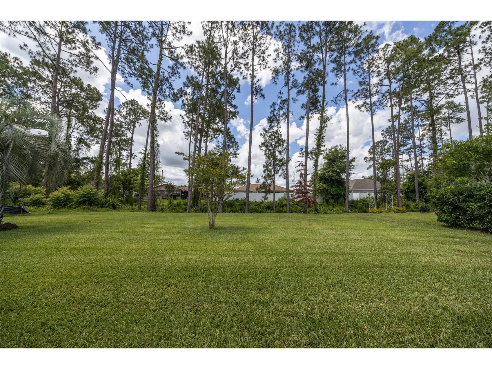 29 Wood Haven Drive Palm Coast FL 32164 FC318306 image21