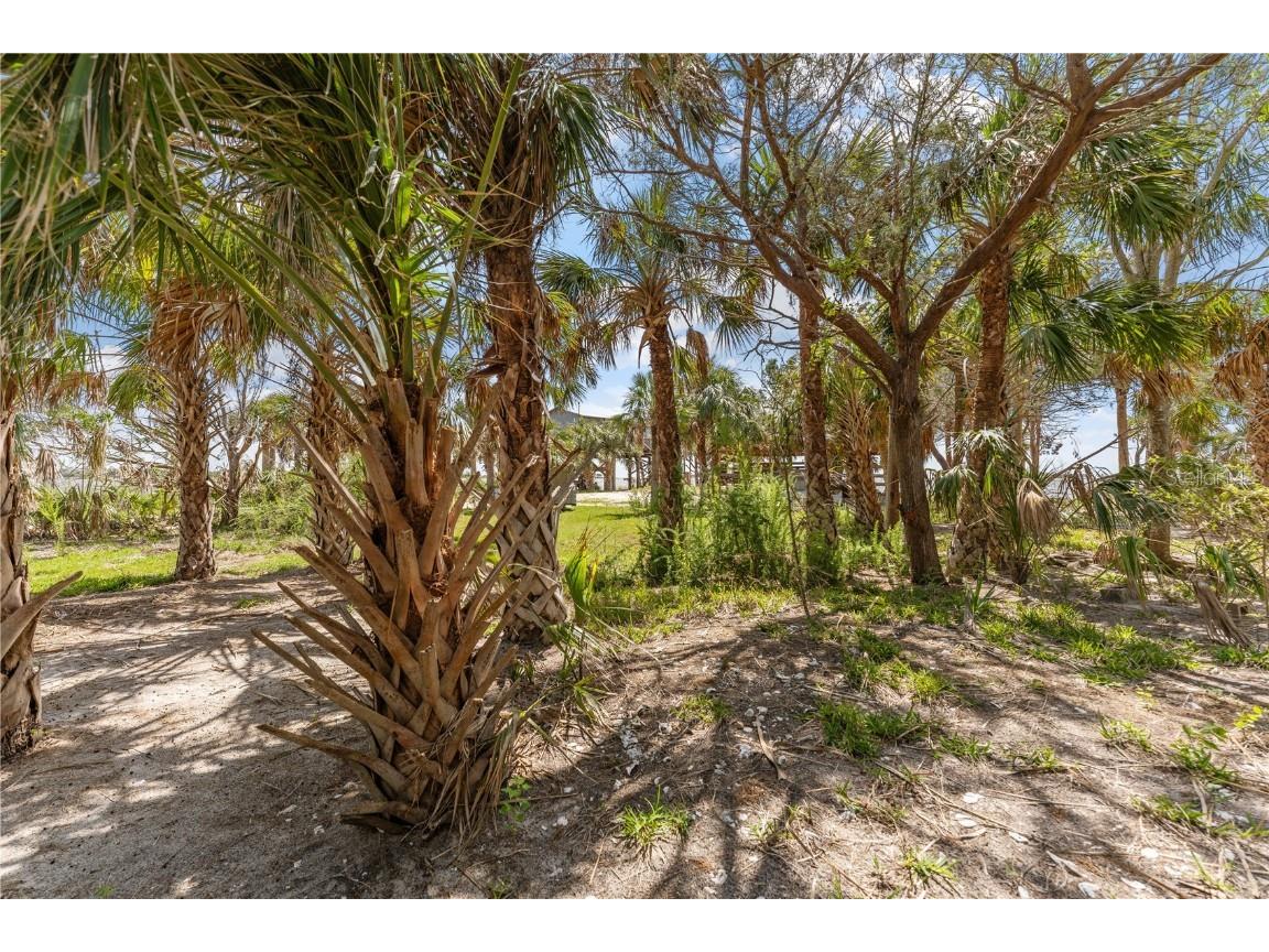 290 & 266 Eighth Street E Horseshoe Beach FL 32648 - GULF OF MEXICO CANAL GC520772 image1