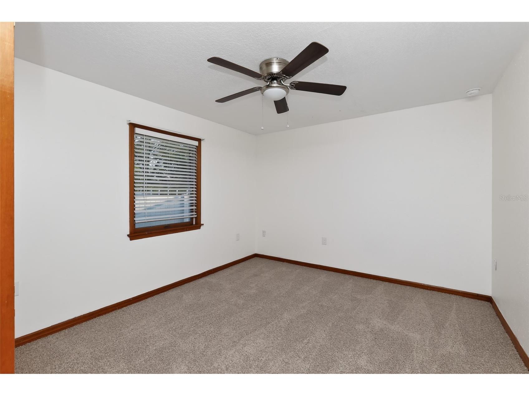 290 Canby Circle Spring Hill FL 34606 TB8507737 image11