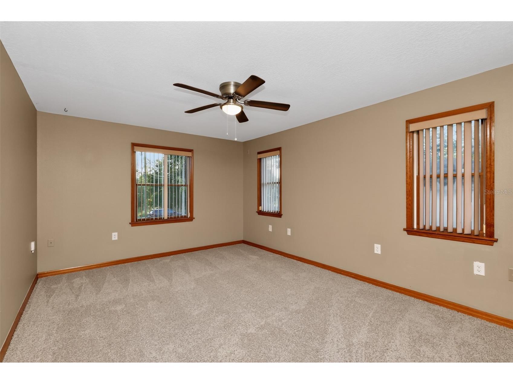 290 Canby Circle Spring Hill FL 34606 TB8507737 image12