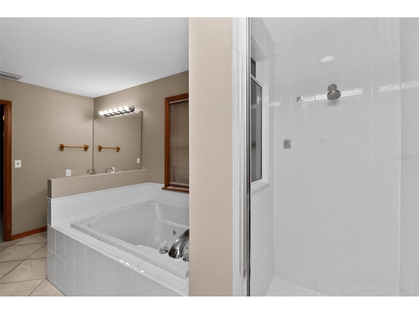 290 Canby Circle Spring Hill FL 34606 TB8507737 image25