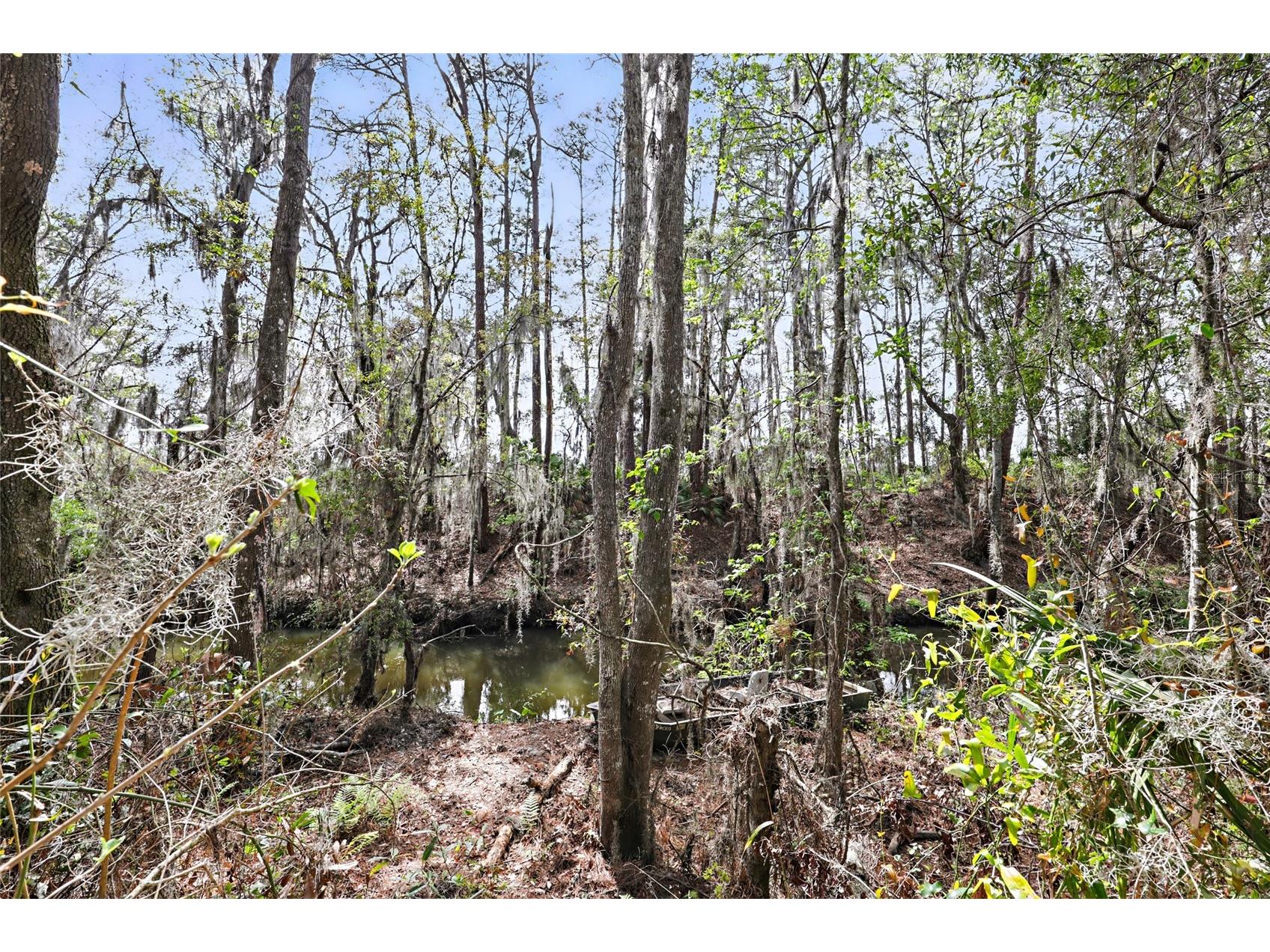 290 Federal Point Road East Palatka FL 32131 FC311195 image50