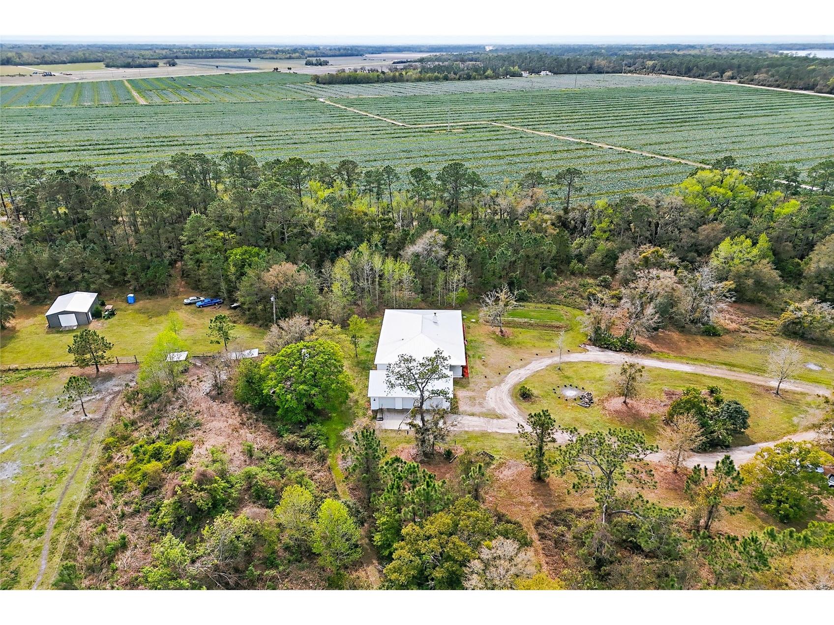 290 Federal Point Road East Palatka FL 32131 FC311195 image60