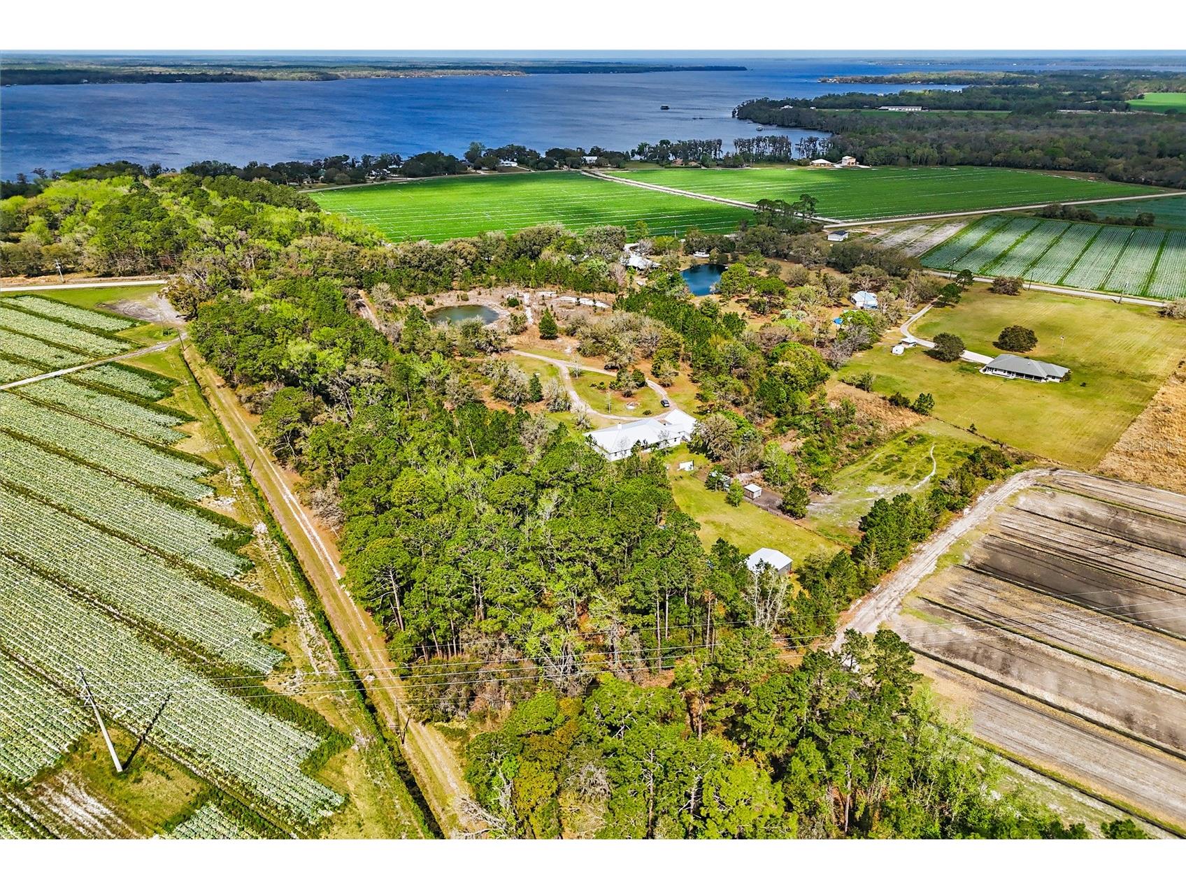 290 Federal Point Road East Palatka FL 32131 FC311195 image67