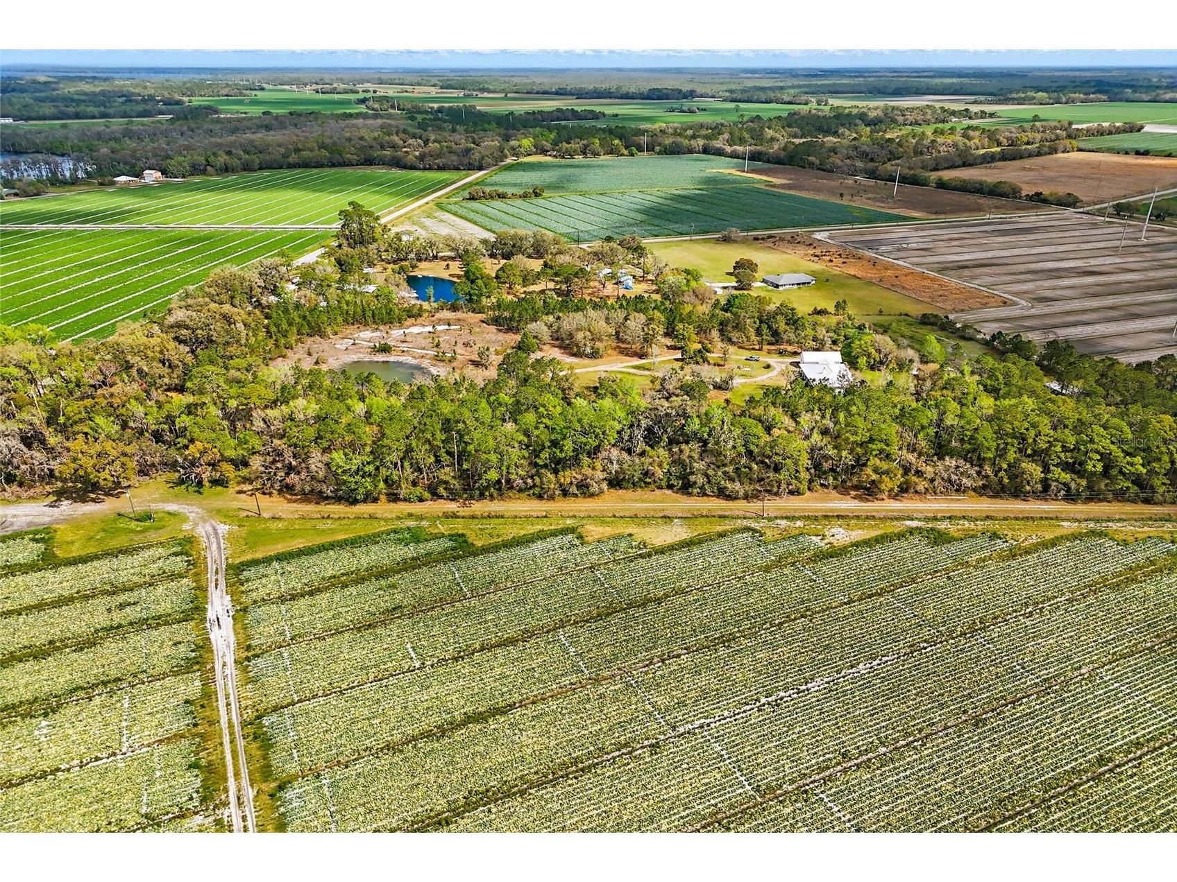 290 Federal Point Road East Palatka FL 32131 FC311195 image68