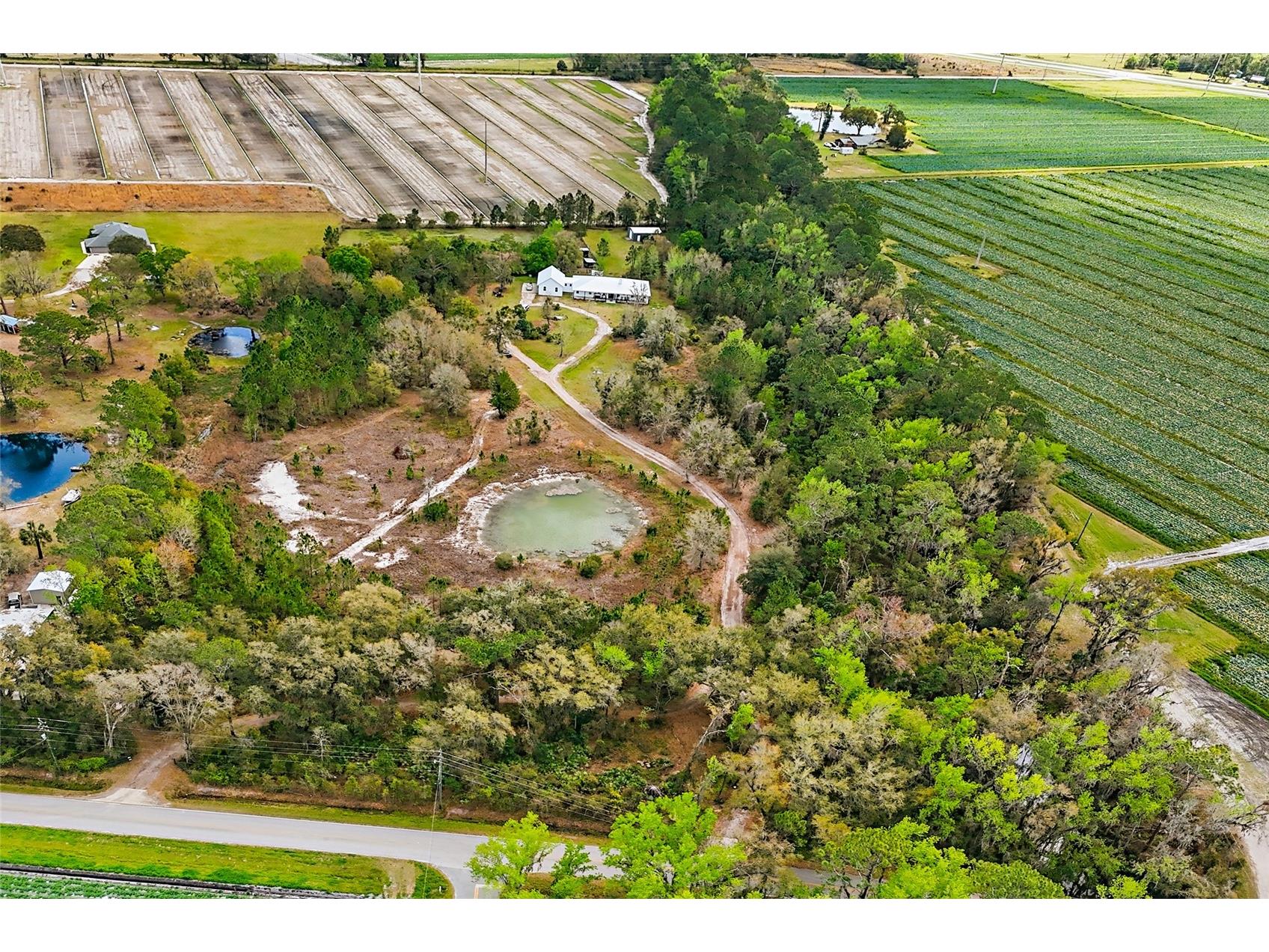 290 Federal Point Road East Palatka FL 32131 FC311195 image71