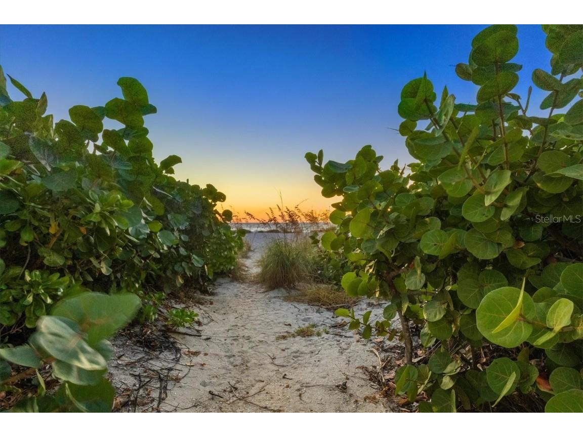 290 Gulf Boulevard #18 Boca Grande FL 33921 D6144412 image49