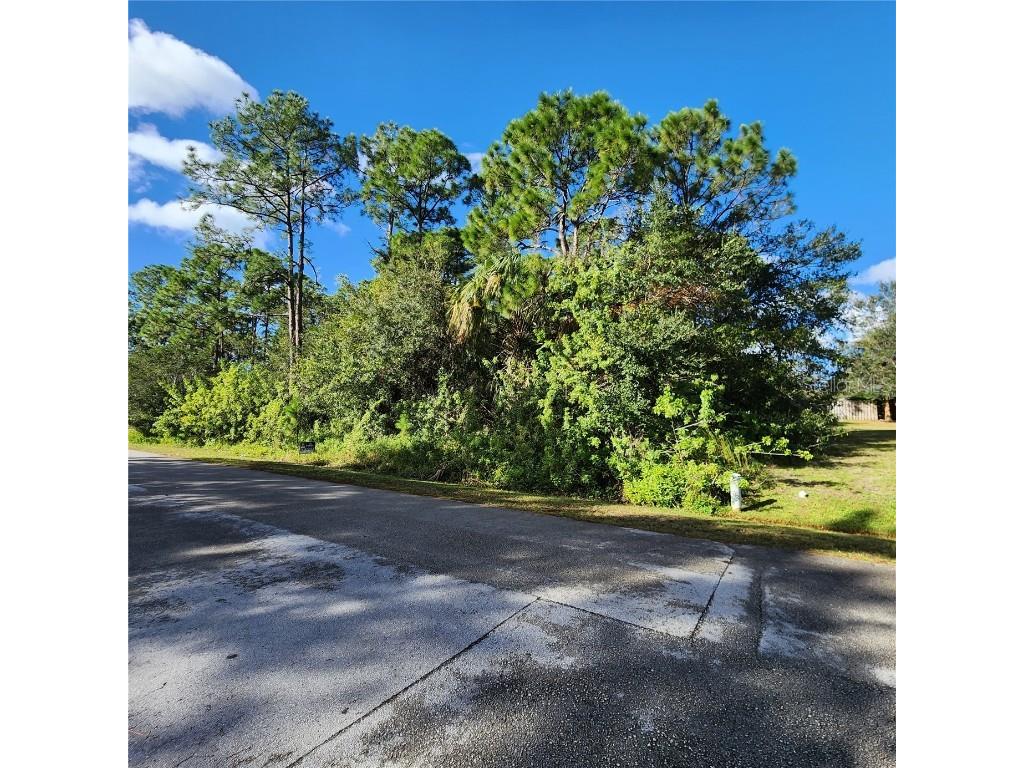 290 Mardi Gras Avenue NW Palm Bay FL 32907 O6072149 image1