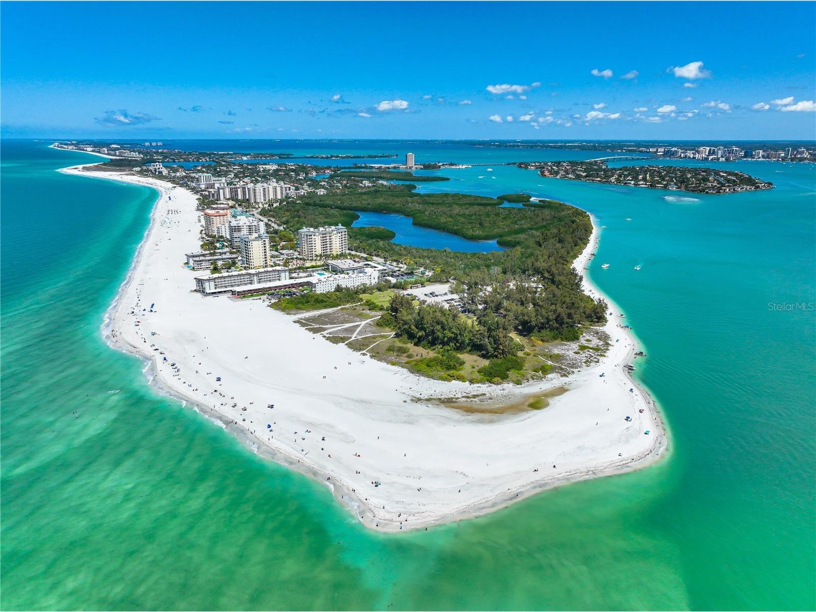 290 N Washington Drive Sarasota FL 34236 - SARASOTA BAY ICW A4652926 image75