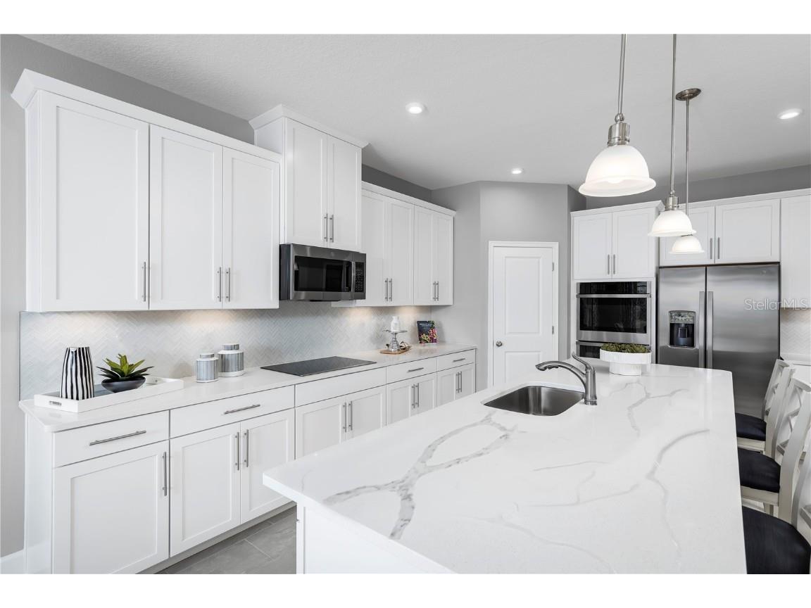 290 Prickly Pear Court Lady Lake FL 32159 W7880495 image4