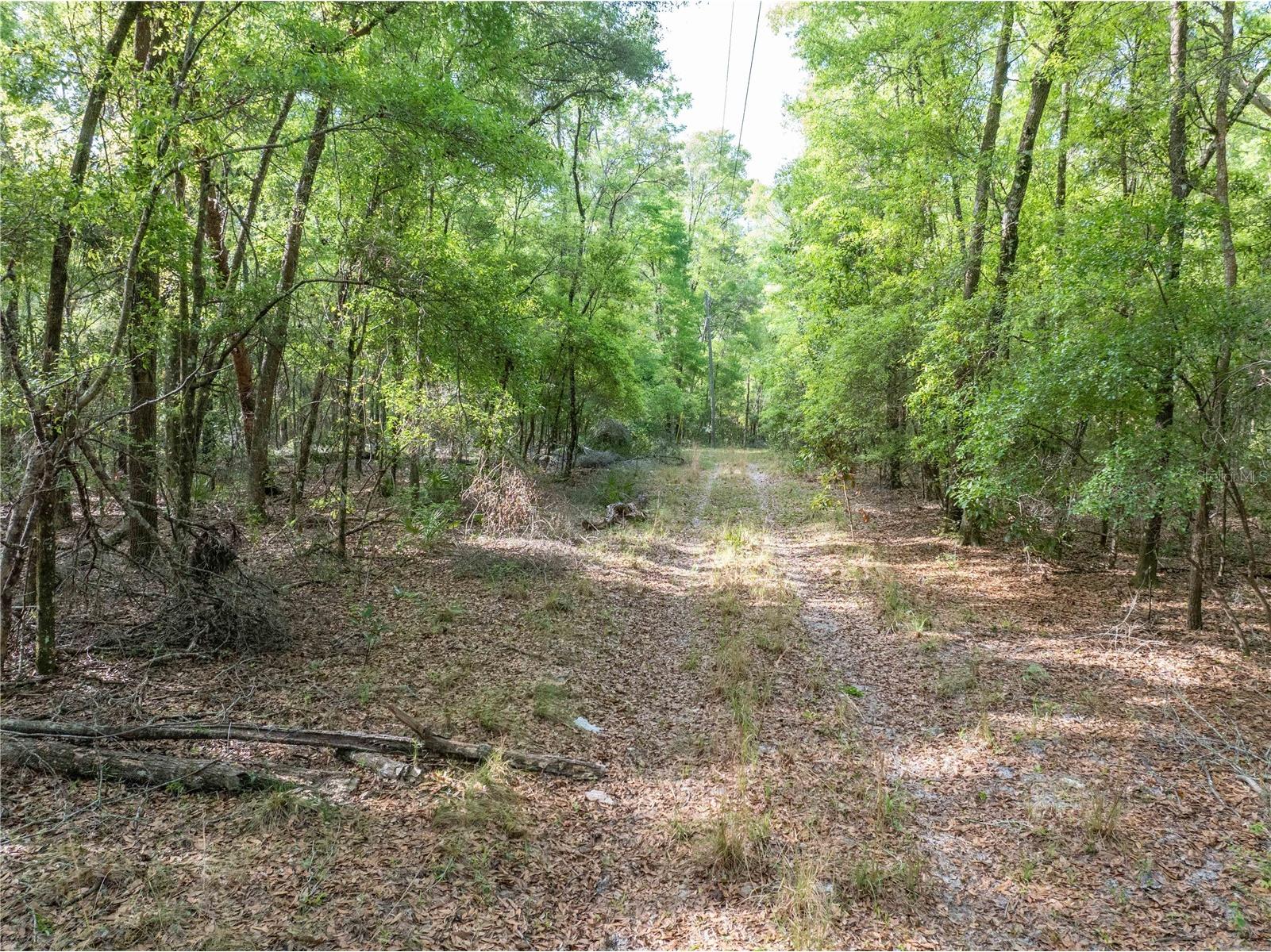 290 SW Rattlesnake Glen Fort White FL 32038 GC539754 image14