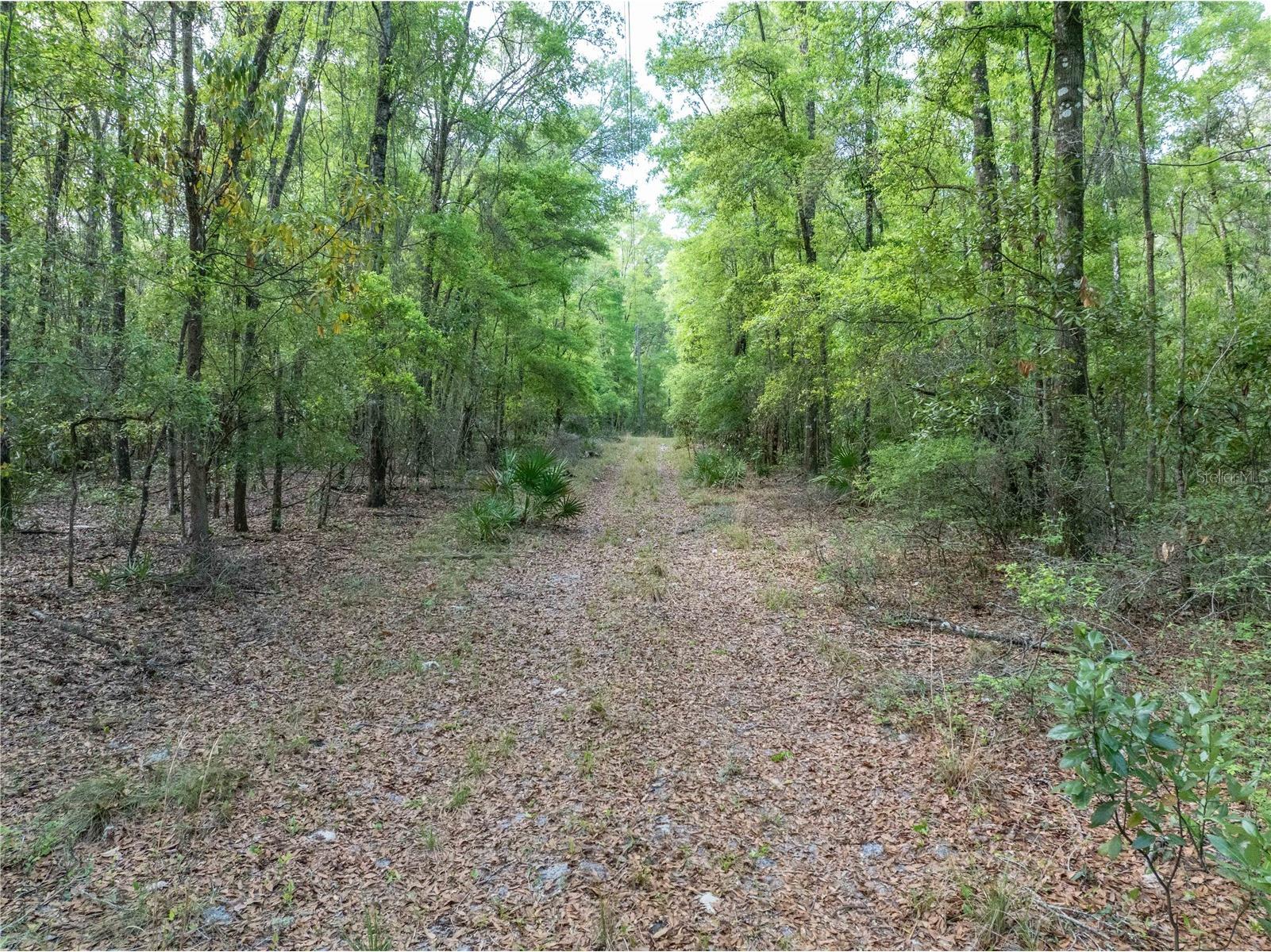 290 SW Rattlesnake Glen Fort White FL 32038 GC539754 image15