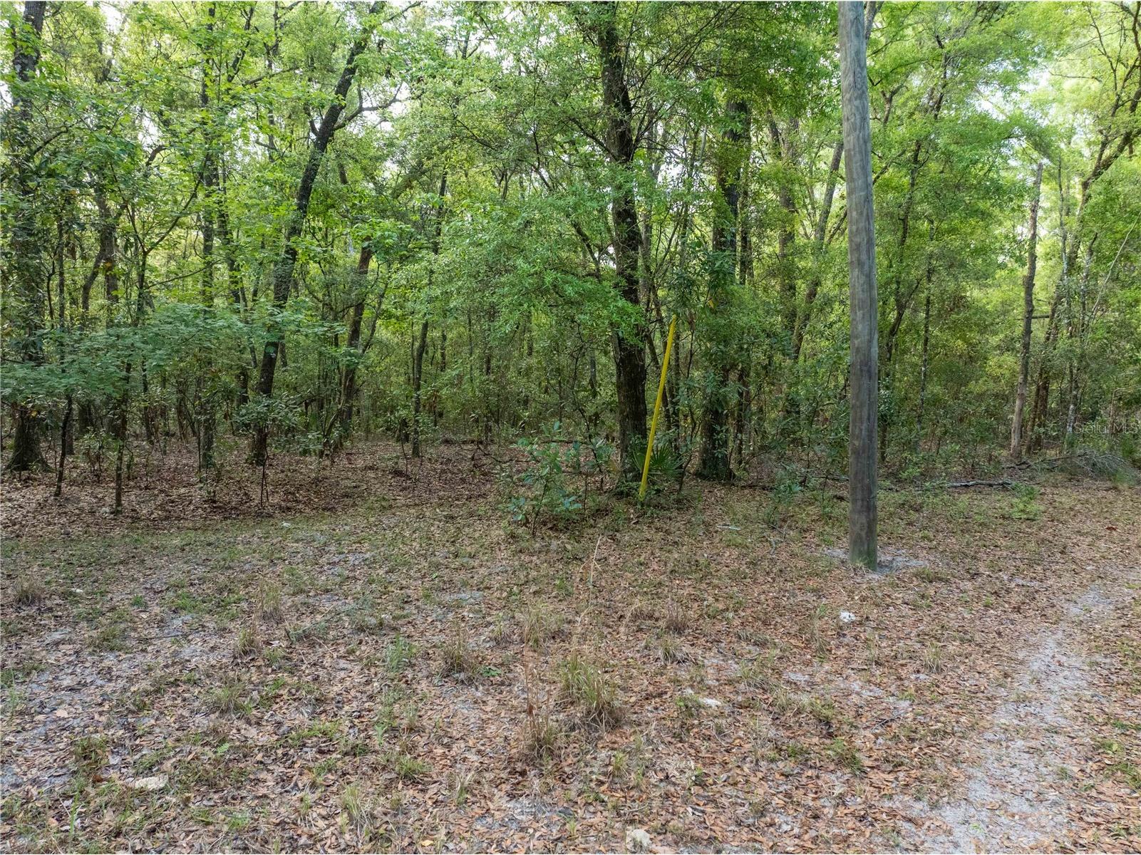 290 SW Rattlesnake Glen Fort White FL 32038 GC539754 image16