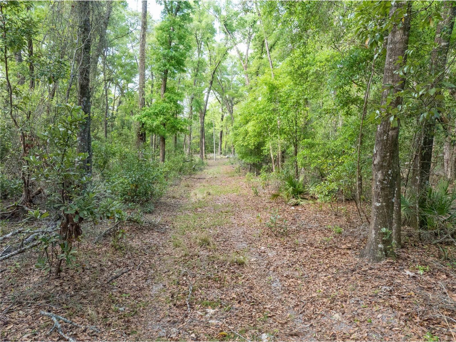290 SW Rattlesnake Glen Fort White FL 32038 GC539754 image17