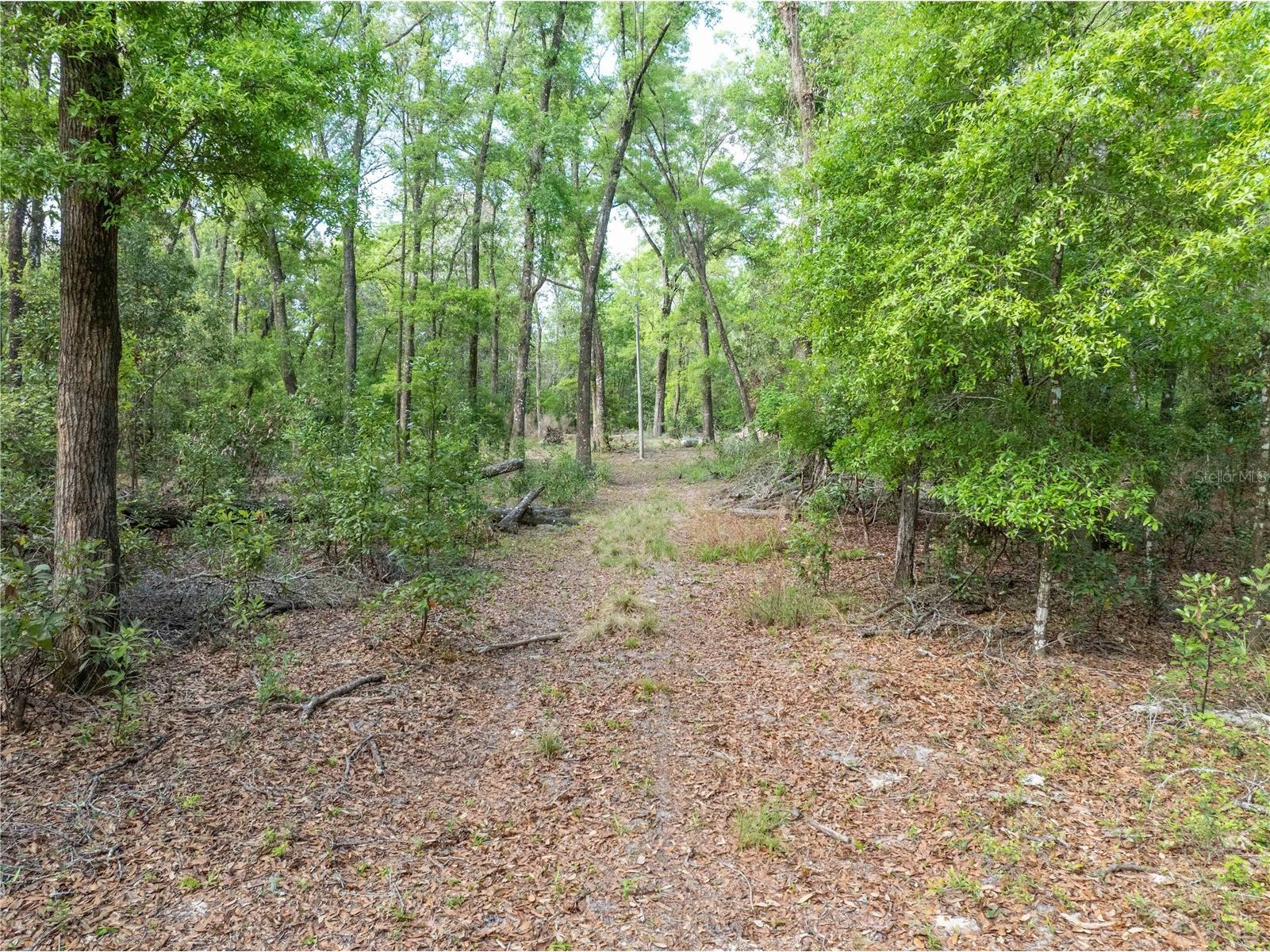 290 SW Rattlesnake Glen Fort White FL 32038 GC539754 image18