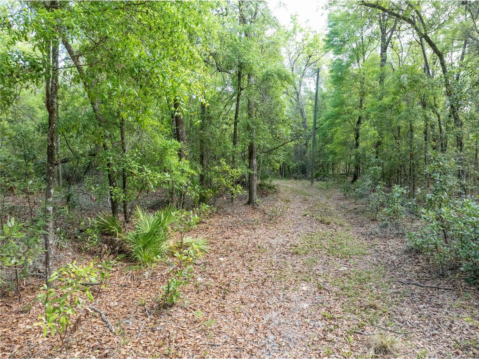 290 SW Rattlesnake Glen Fort White FL 32038 GC539754 image19