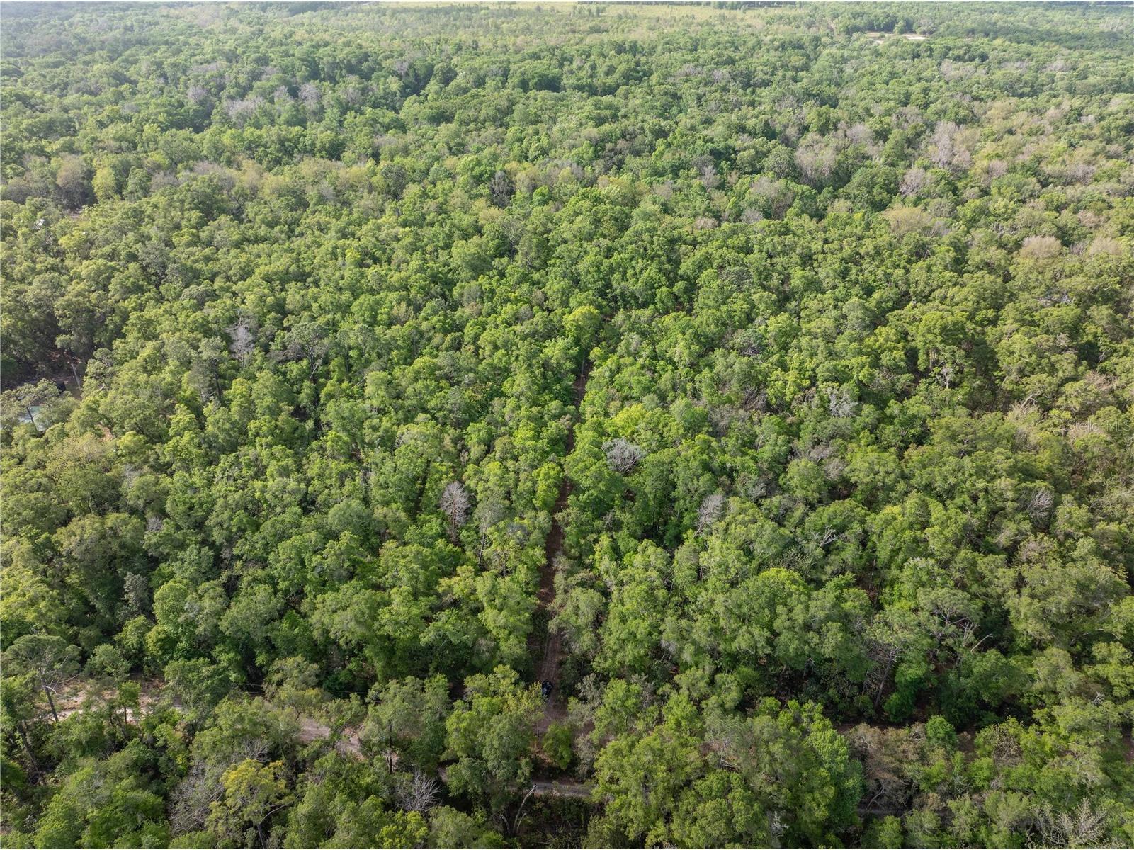 290 SW Rattlesnake Glen Fort White FL 32038 GC539754 image22