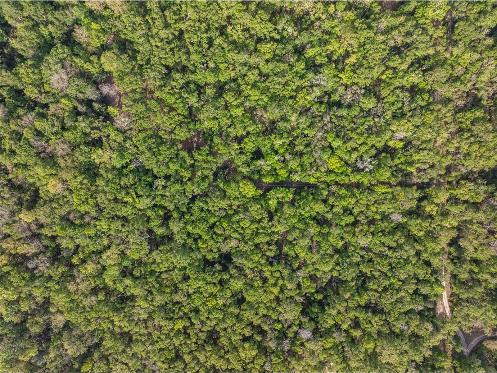 290 SW Rattlesnake Glen Fort White FL 32038 GC539754 image23