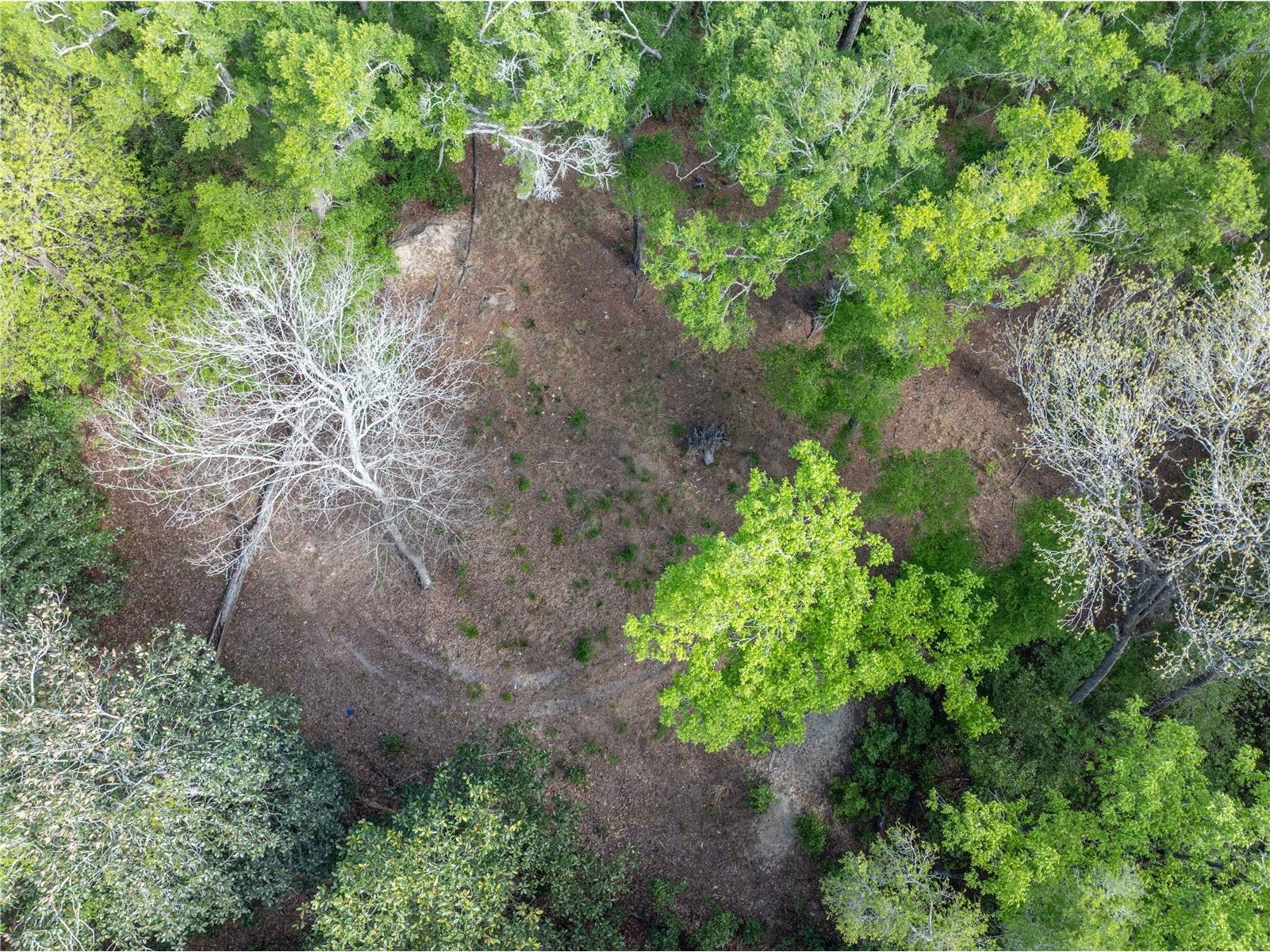 290 SW Rattlesnake Glen Fort White FL 32038 GC539754 image24