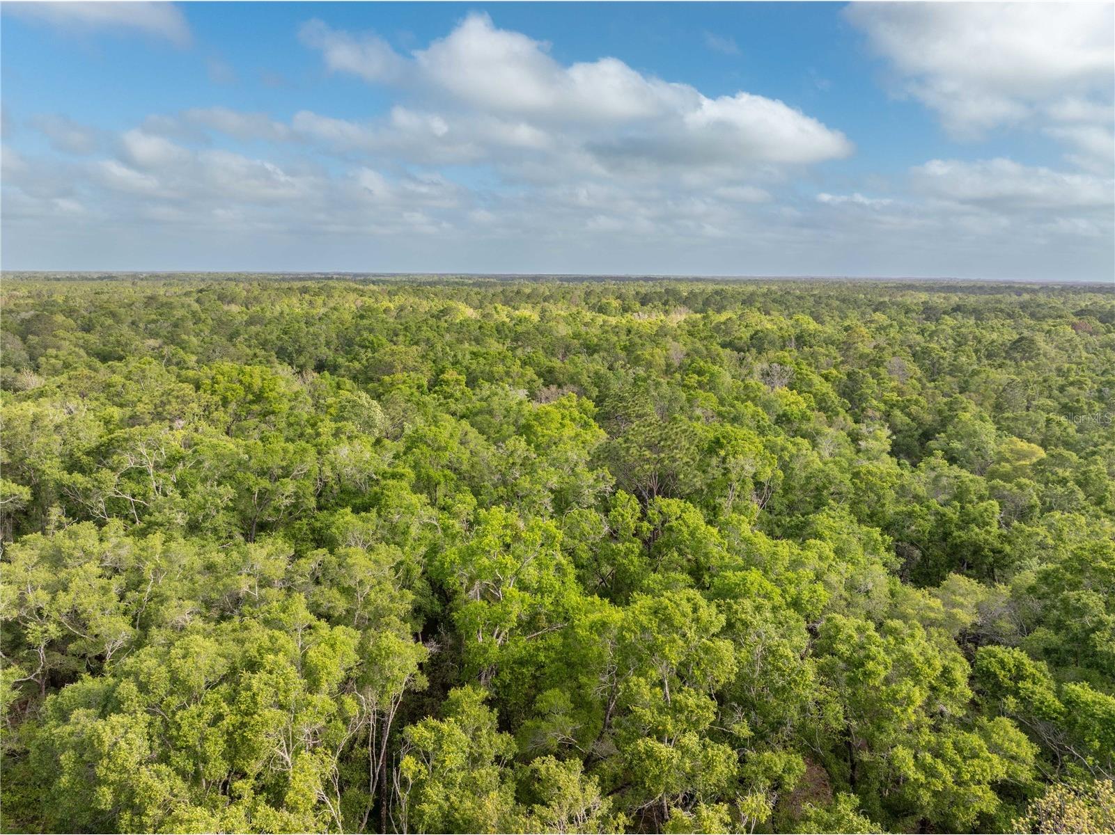 290 SW Rattlesnake Glen Fort White FL 32038 GC539754 image26