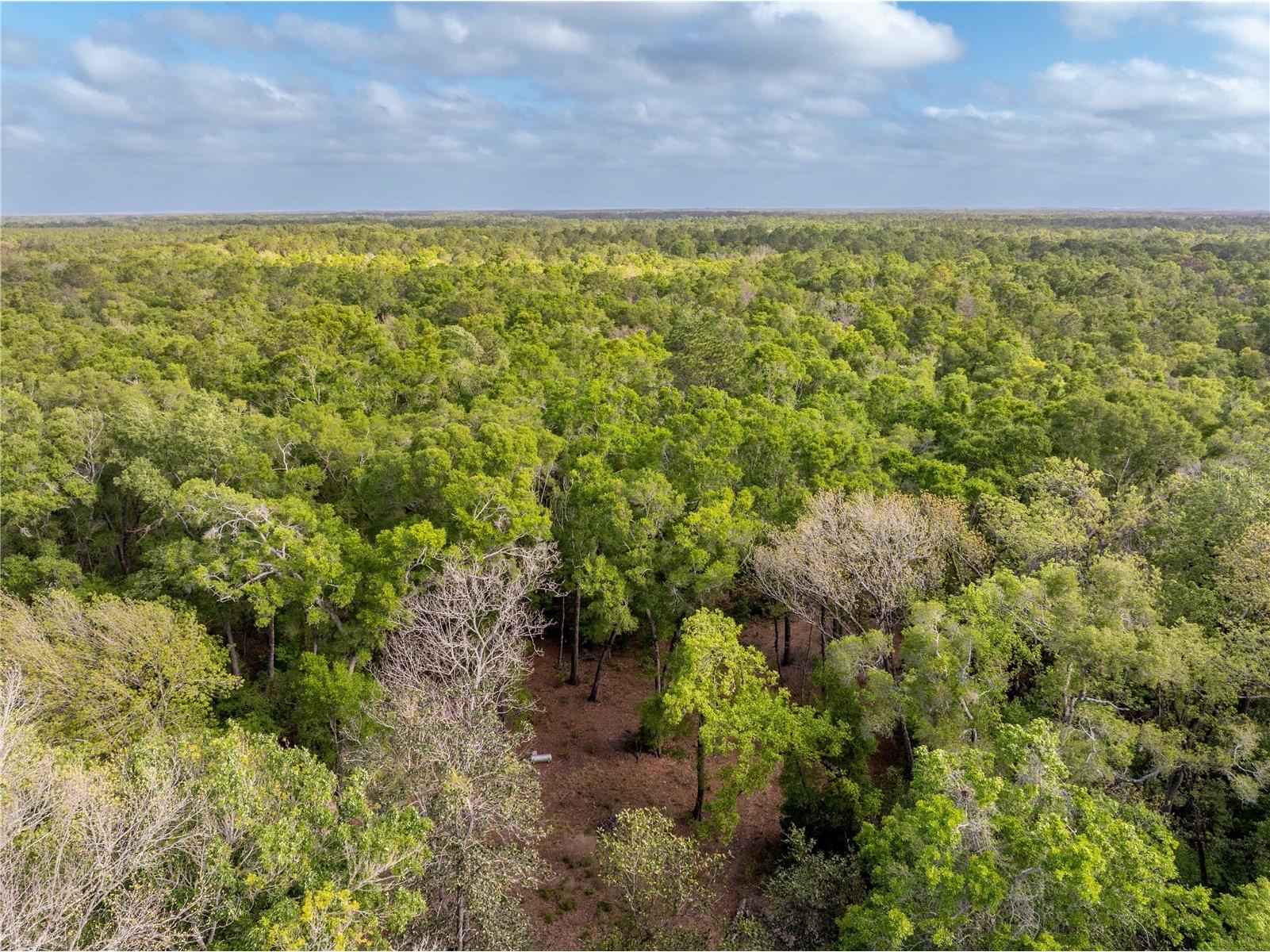 290 SW Rattlesnake Glen Fort White FL 32038 GC539754 image27