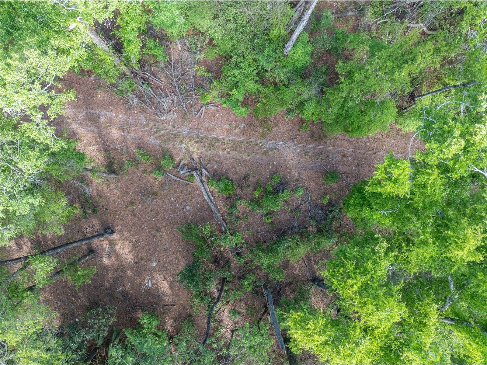 290 SW Rattlesnake Glen Fort White FL 32038 GC539754 image28