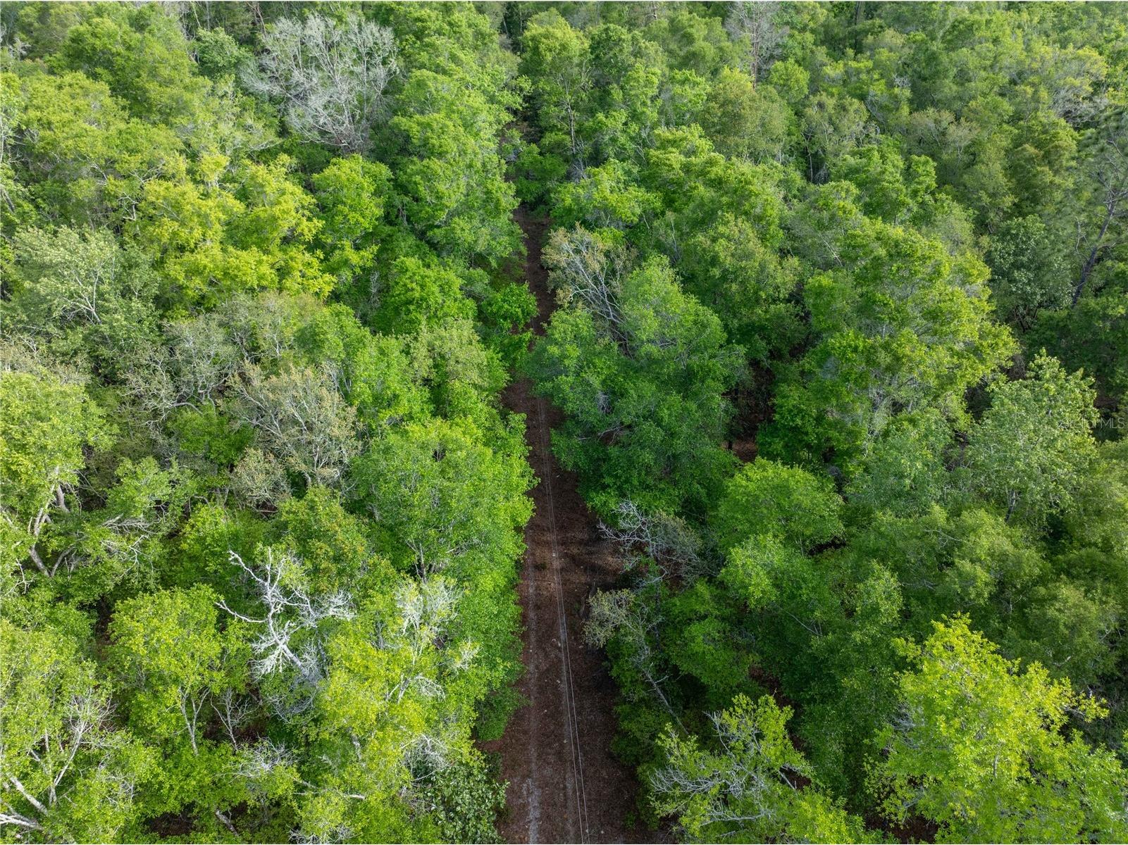290 SW Rattlesnake Glen Fort White FL 32038 GC539754 image30