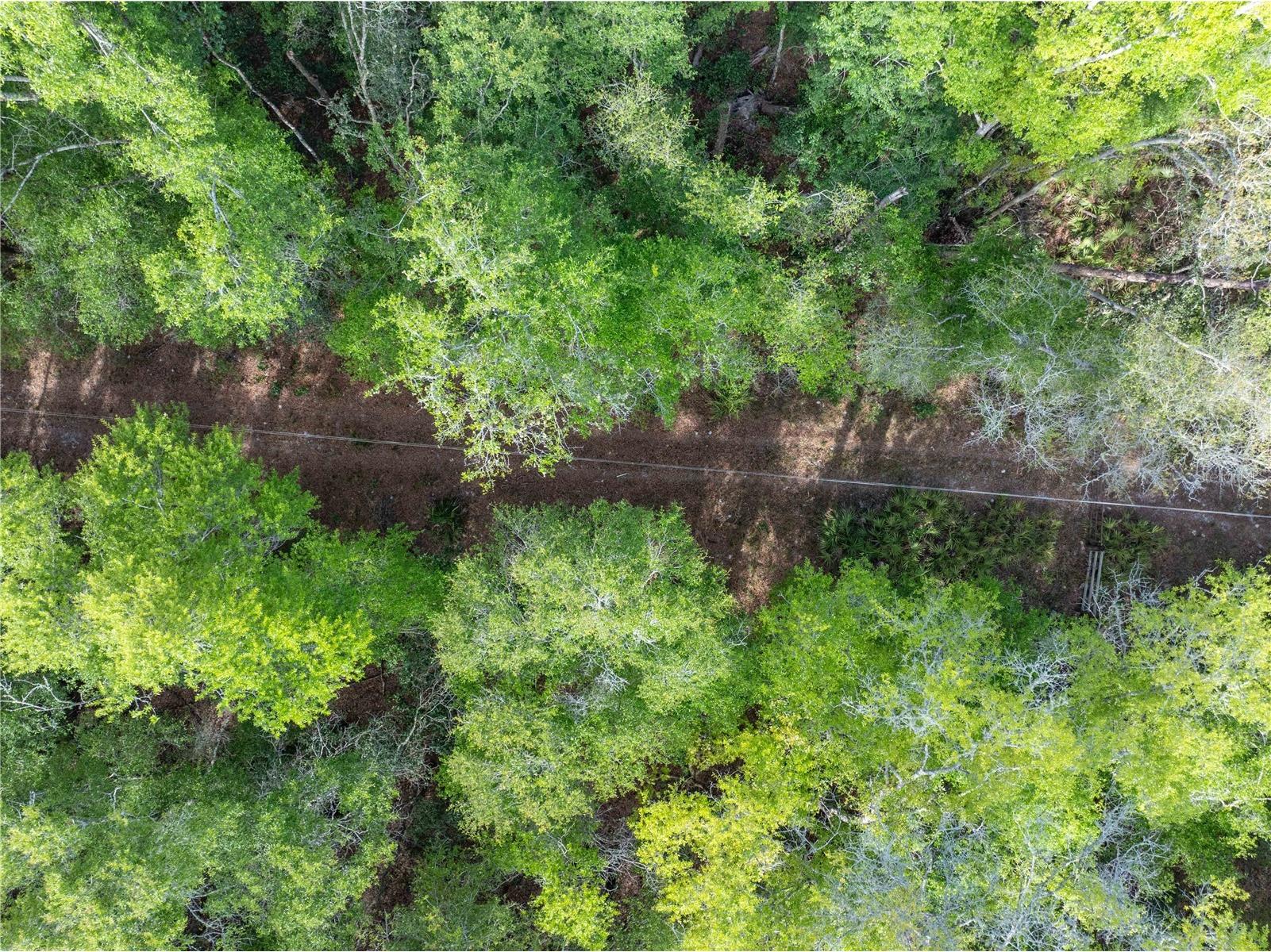 290 SW Rattlesnake Glen Fort White FL 32038 GC539754 image31