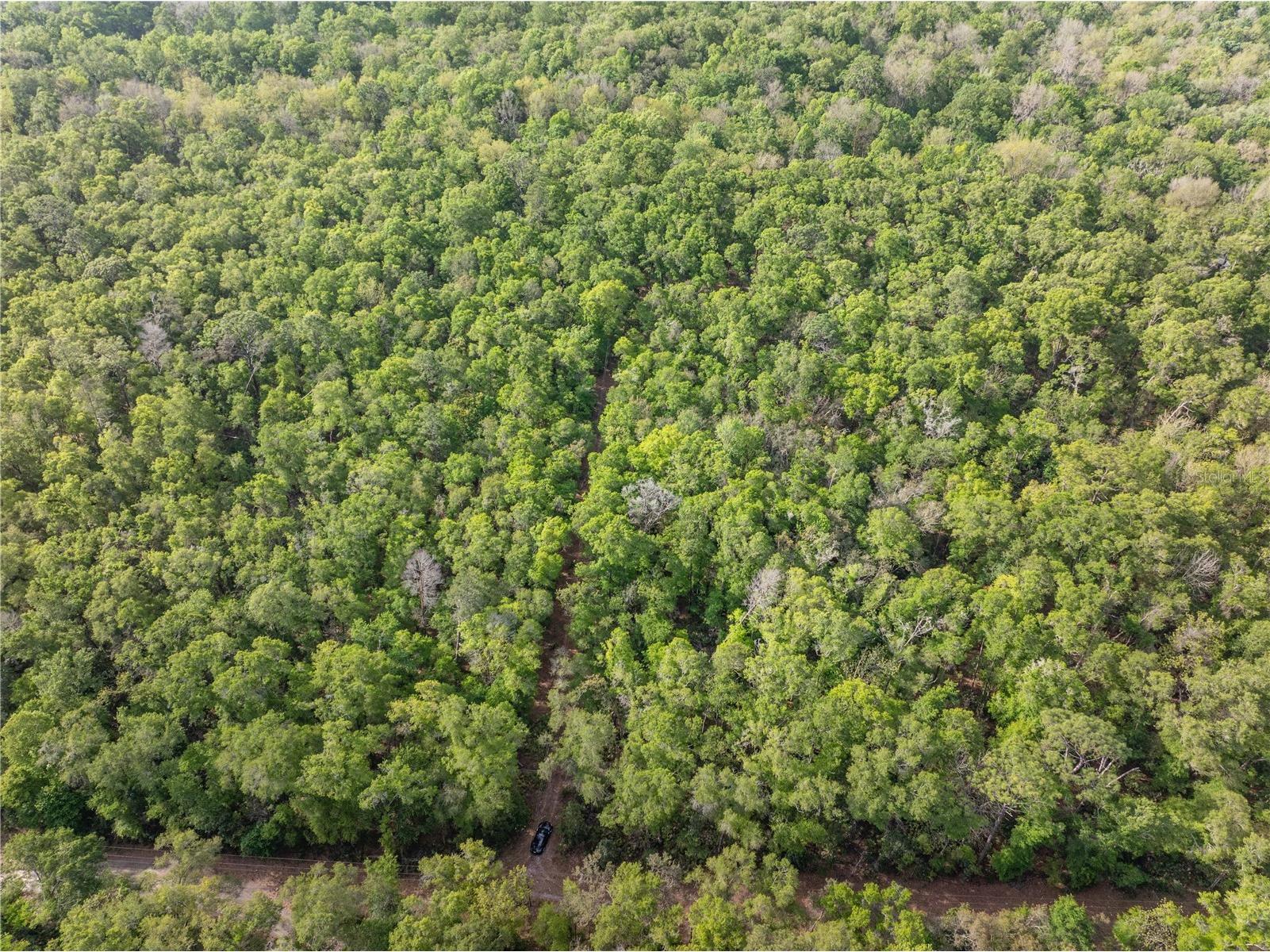 290 SW Rattlesnake Glen Fort White FL 32038 GC539754 image5