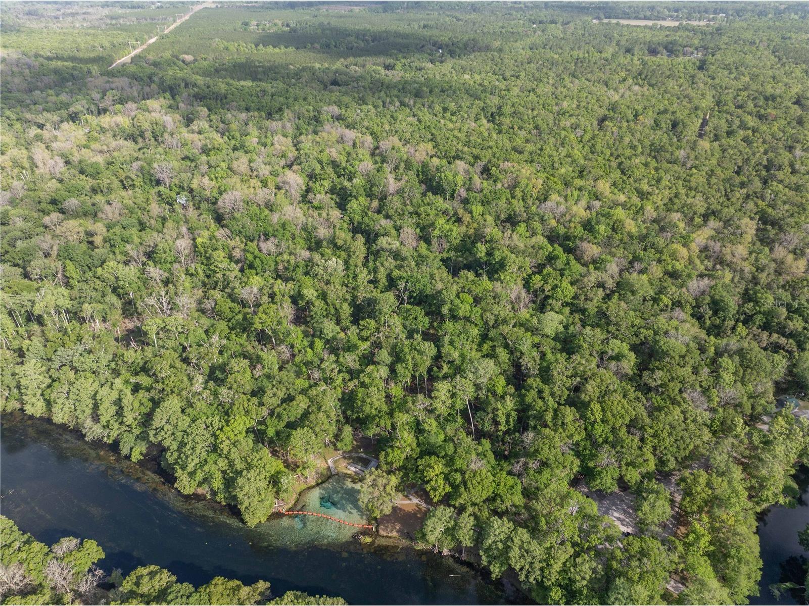 290 SW Rattlesnake Glen Fort White FL 32038 GC539754 image6
