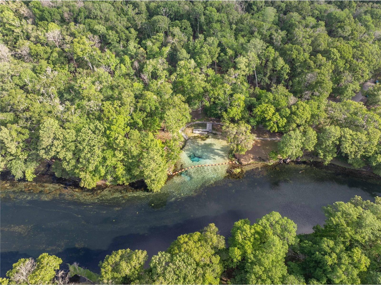 290 SW Rattlesnake Glen Fort White FL 32038 GC539754 image7