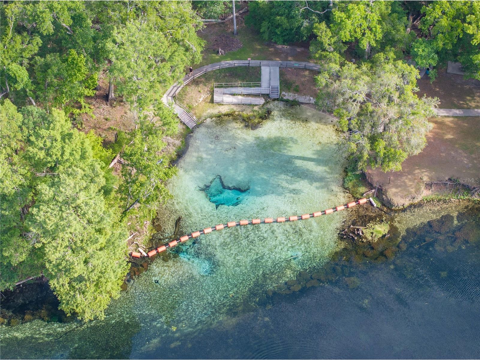 290 SW Rattlesnake Glen Fort White FL 32038 GC539754 image8
