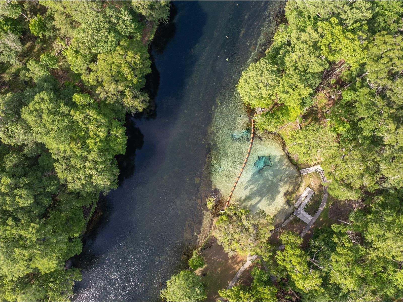 290 SW Rattlesnake Glen Fort White FL 32038 GC539754 image9
