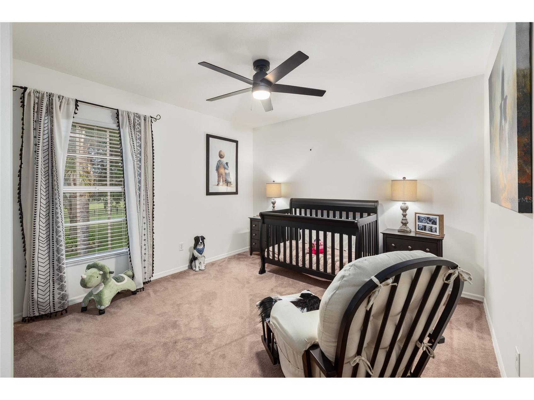 2900 Betty Drive Deland FL 32720 O6410629 image38