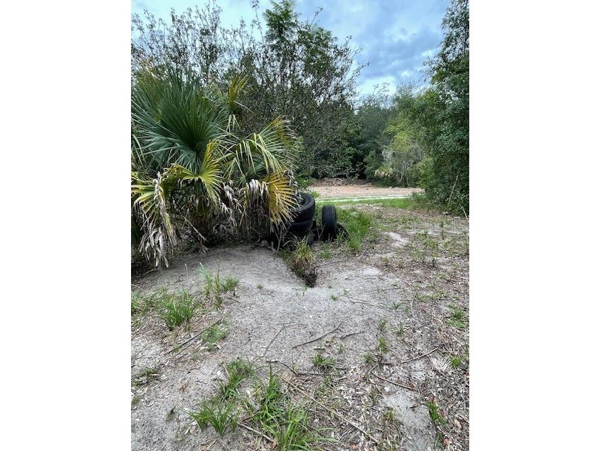 2900 Cleburne Road Orlando FL 32817 O6351323 image4