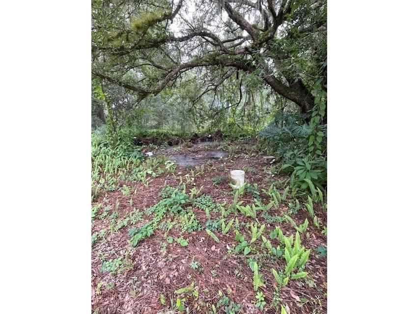 2900 Cleburne Road Orlando FL 32817 O6351323 image6