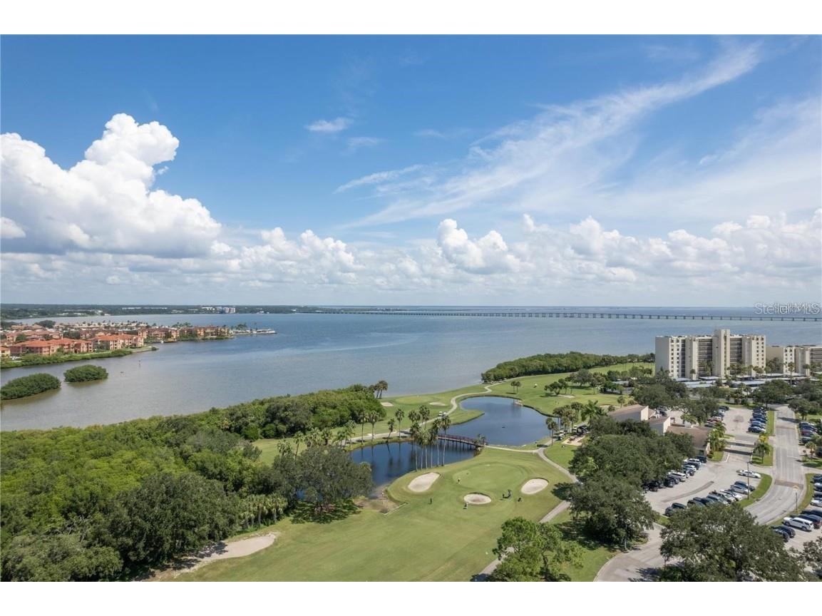 2900 Cove Cay Drive #3E Clearwater FL 33760 TB8430003 image22