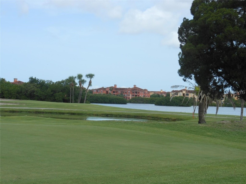 2900 Cove Cay Drive #3E Clearwater FL 33760 TB8430003 image23