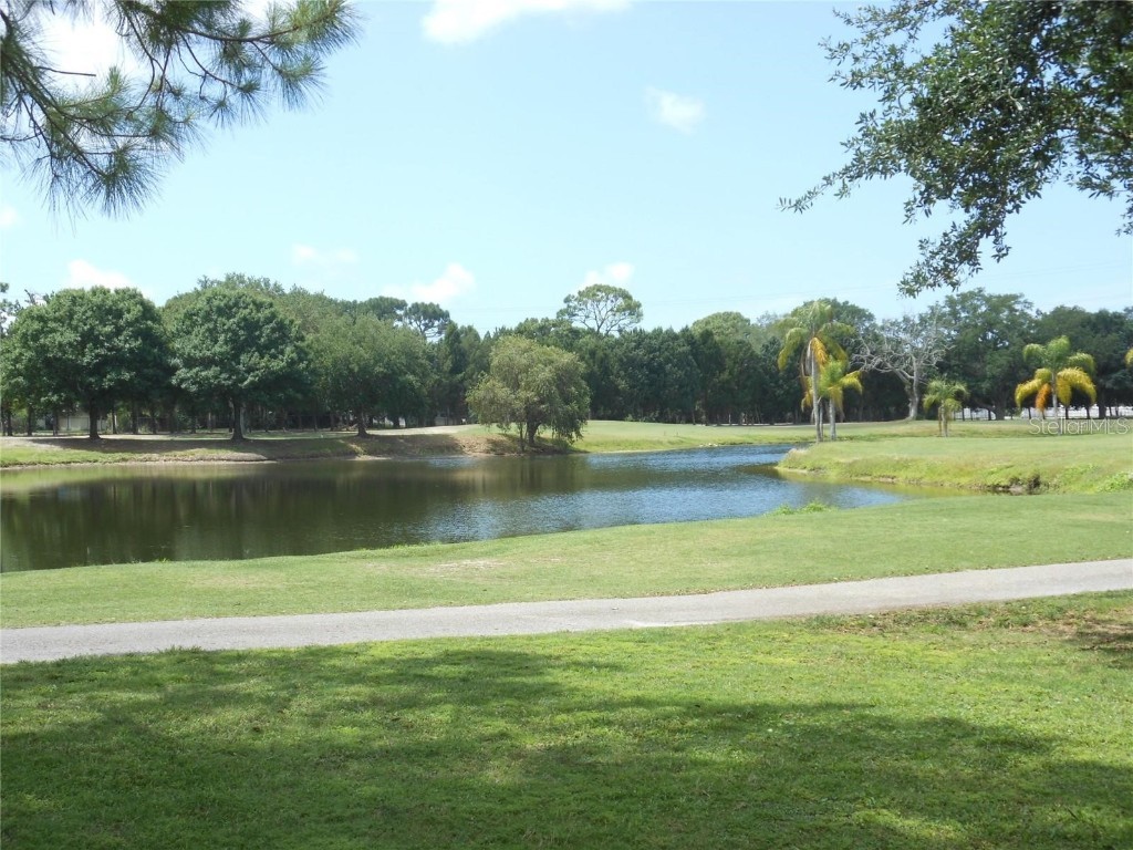 2900 Cove Cay Drive #3E Clearwater FL 33760 TB8430003 image24