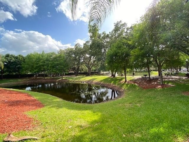 2900 Edenshire Way #107 Kissimmee FL 34746 O6413995 image18