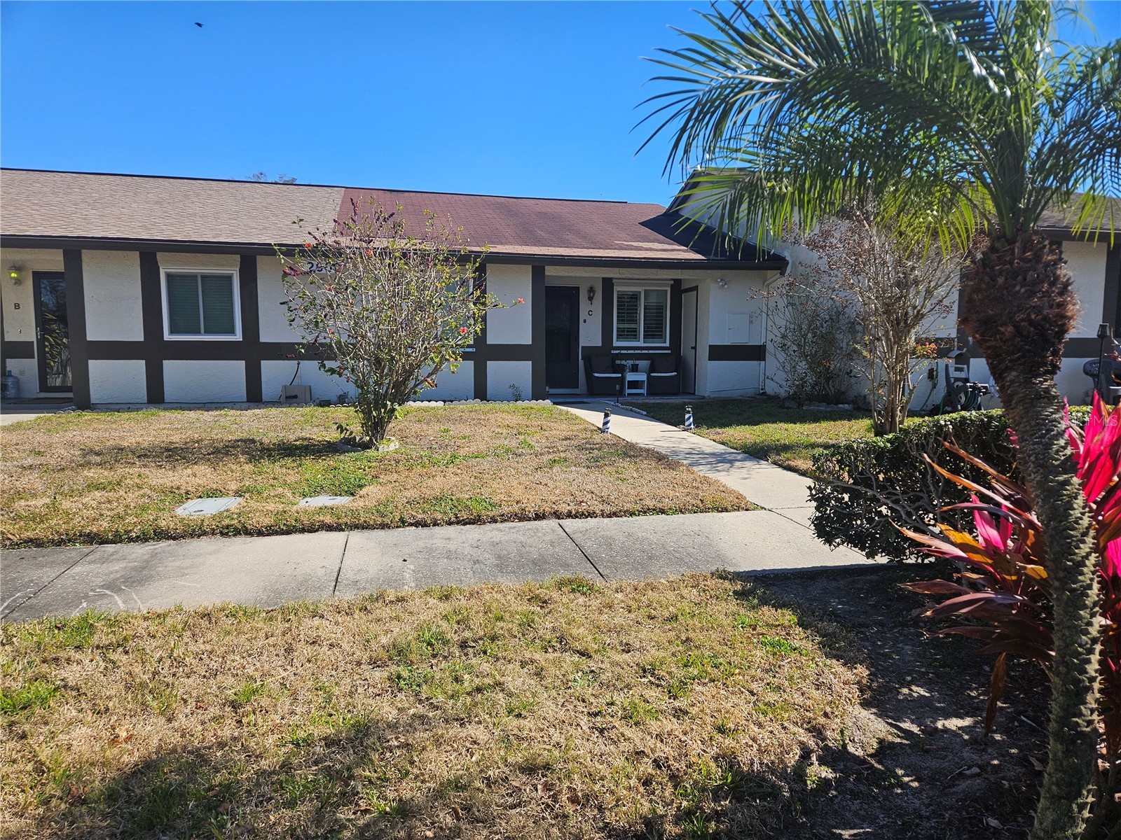 2900 Grovewood Boulevard E #C Palm Harbor FL 34683 TB8497739 image1