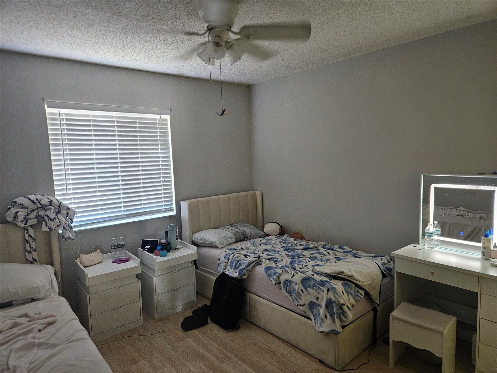 2900 Grovewood Boulevard E #C Palm Harbor FL 34683 TB8497739 image6